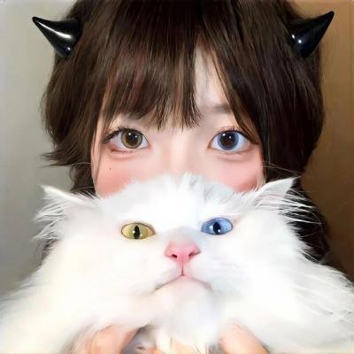 绽放吧百合